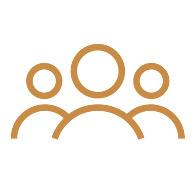 3 Strategic partner